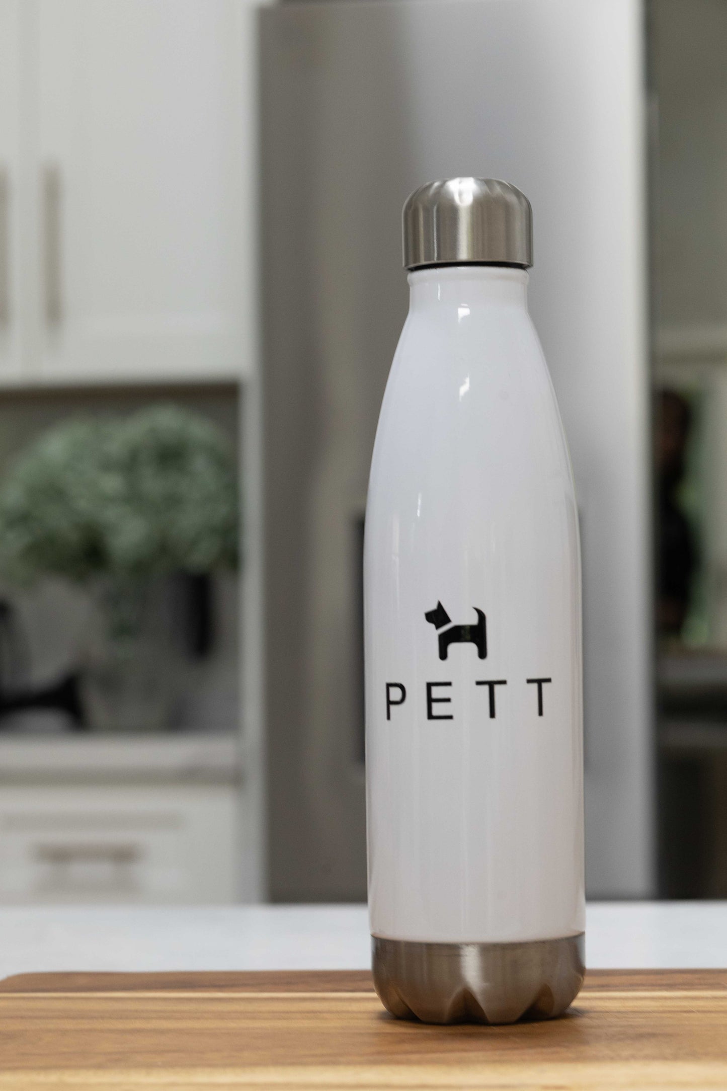 Stainless Steel Water Bottle